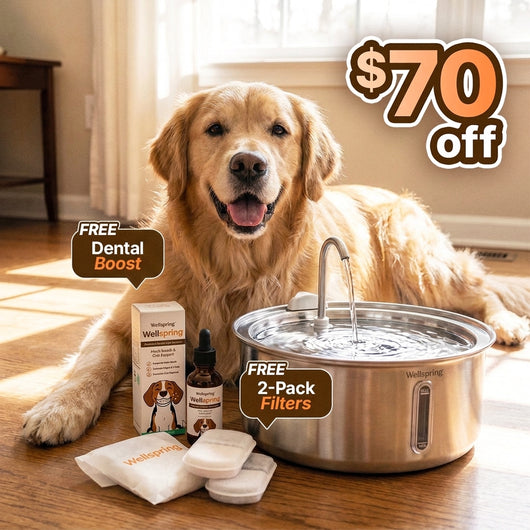 The Doggy Fountain™ Health Bundle - Non-Wireless