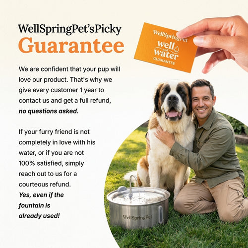 The Doggy Fountain™ Health Bundle - Non-Wireless