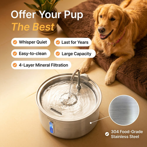 The Doggy Fountain™ Health Bundle - Non-Wireless
